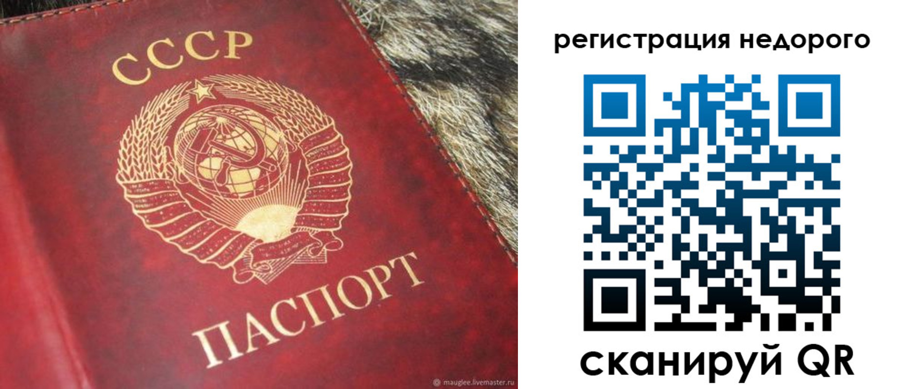 прописка ребенка в Саках